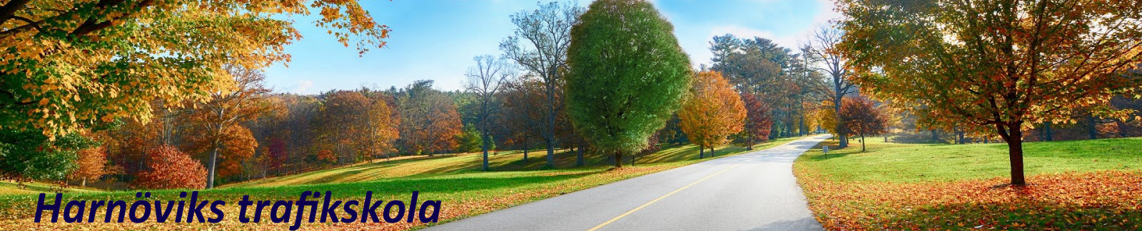 A header with a picture of a road with the company name on it